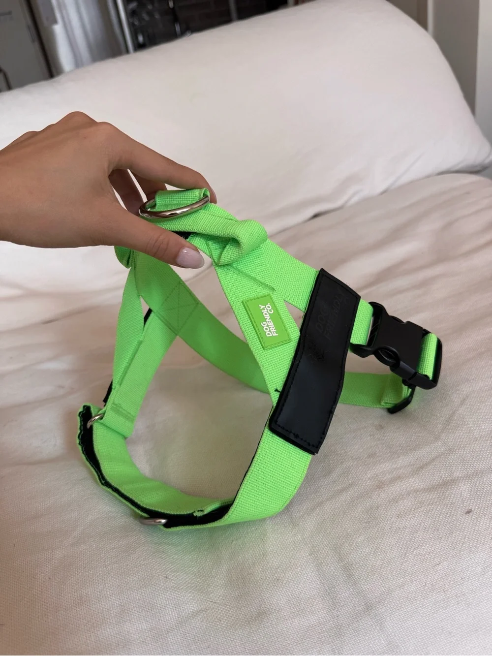 Neon Green No-Pull Dog Harness with D Ring